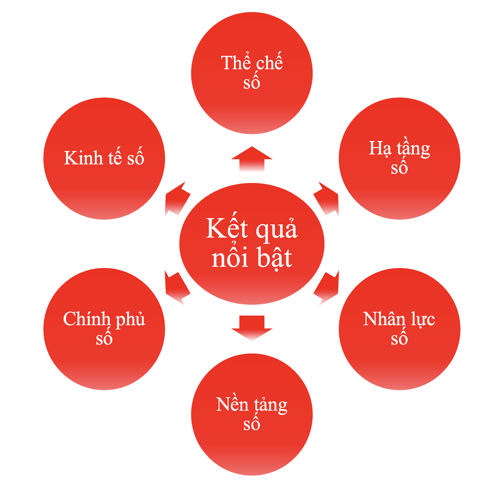 8.3. SO KET 6 THANG CDS